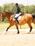 DSC04284 DSC04284