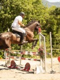 DSC07157 DSC07157