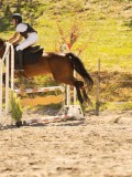 DSC07895 DSC07895