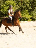 DSC07899 DSC07899