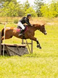 DSC00524 DSC00524