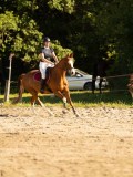 DSC08428 DSC08428
