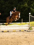 DSC08429 DSC08429