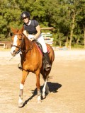 DSC08434 DSC08434