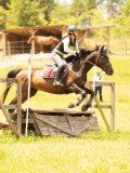 DSC00138 DSC00138