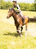 DSC00144 DSC00144