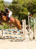 DSC07334 DSC07334