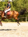DSC07335 DSC07335