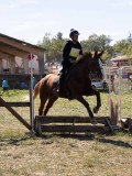 DSC04560 DSC04560