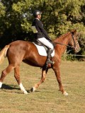 DSC05240 DSC05240