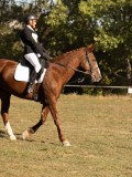 DSC05245 DSC05245