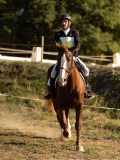 DSC05249 DSC05249