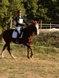 DSC05259 DSC05259
