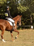 DSC05262 DSC05262