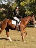 DSC05264 DSC05264