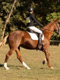 DSC05265 DSC05265