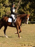 DSC05268 DSC05268