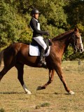 DSC05269 DSC05269