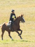 DSC06456 DSC06456