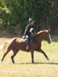 DSC06458 DSC06458
