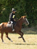 DSC06459 DSC06459
