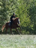 DSC_5805 DSC_5805