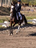 DSC01389 DSC01389