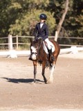 DSC01399 DSC01399