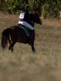 DSC04960
