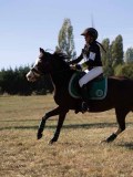 DSC04967 DSC04967