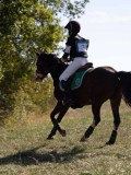 DSC04968 DSC04968
