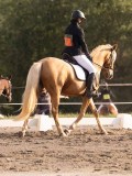 DSC02827 DSC02827