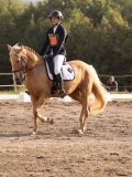 DSC02829 DSC02829