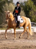 DSC02834 DSC02834
