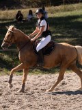 DSC04027
