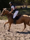 DSC04043 DSC04043
