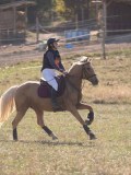 DSC05191 DSC05191