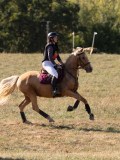 DSC05194 DSC05194