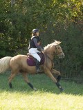 DSC06884 DSC06884