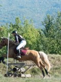 DSC_6150 DSC_6150