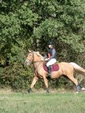 DSC_6151 DSC_6151