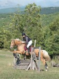 DSC_6153 DSC_6153