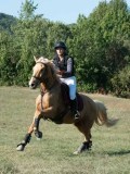 DSC_6157 DSC_6157