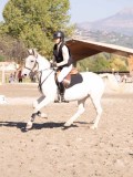 DSC03460 DSC03460