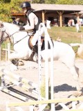 DSC03461 DSC03461
