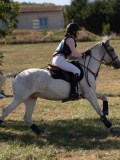 DSC04778 DSC04778