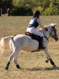 DSC04779 DSC04779