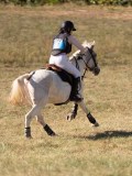 DSC04780 DSC04780