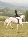 DSC05732 DSC05732