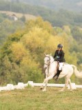 DSC05747 DSC05747